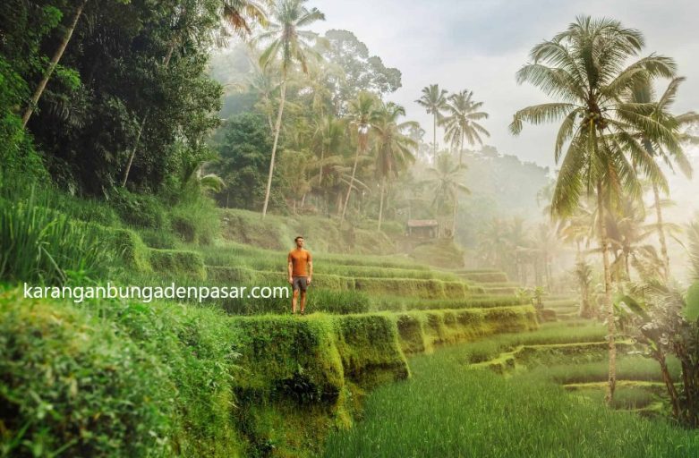Tegallalang Rice Terrace: Lukisan Alam di Jantung Bali